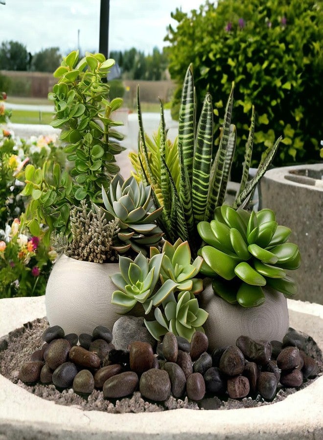 HappyFiller Natural Decorative Pebbles Polished Rocks Stones for Aquarium,Fish Turtle Tank,Outdoor Indoor Plants Top Dressing,Succulents Soil Cover,Garden Landscaping,2 LB,Red Mix,0.8-1.6" - Image 5